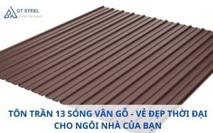 Tôn Trần 13 Sóng Vân Gỗ